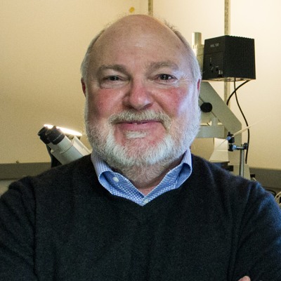 David Glanzman, Ph.D.